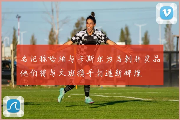 名记称哈珀与卡斯尔为马刺非卖品他们将与文班携手打造新辉煌