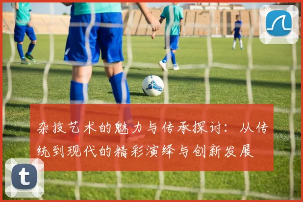 杂技艺术的魅力与传承探讨：从传统到现代的精彩演绎与创新发展