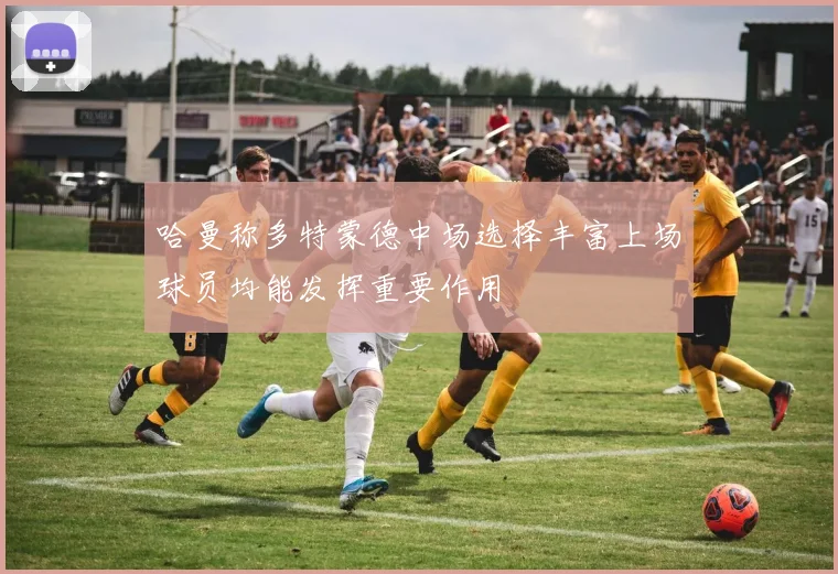 哈曼称多特蒙德中场选择丰富上场球员均能发挥重要作用